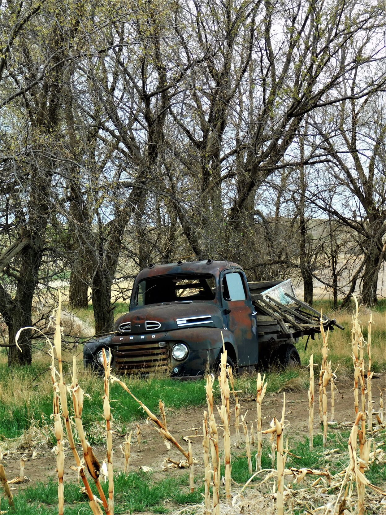 Old Truck in Harding County
